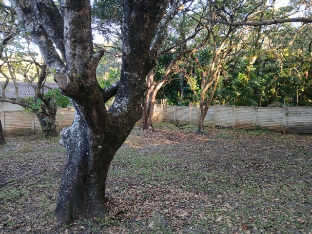 image027